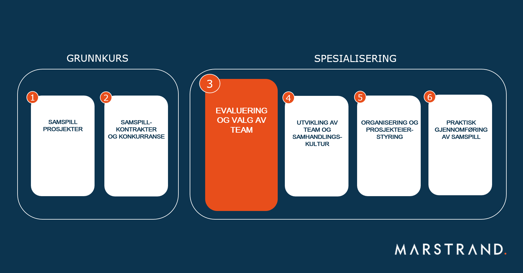 sertifisert samspillsleder workshop 1
